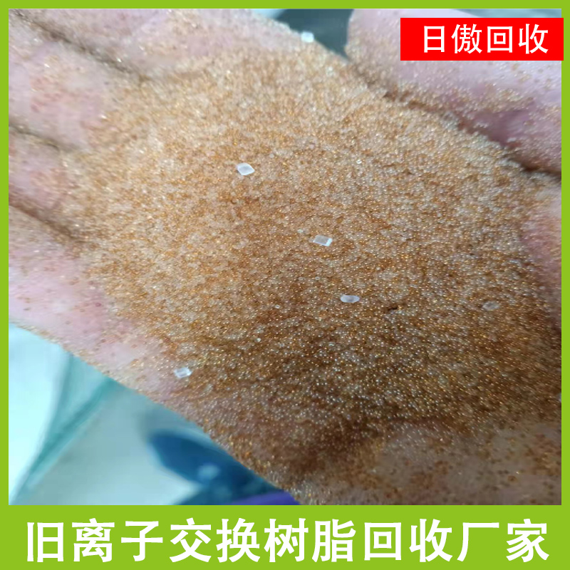 废离子交换树脂回收